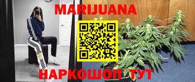 стафф Камышлов
