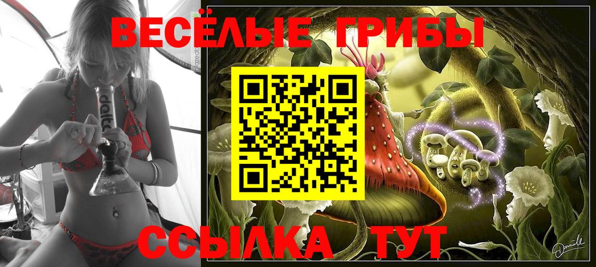 Галлюциногенные грибы Psilocybine cubensis Стерлитамак